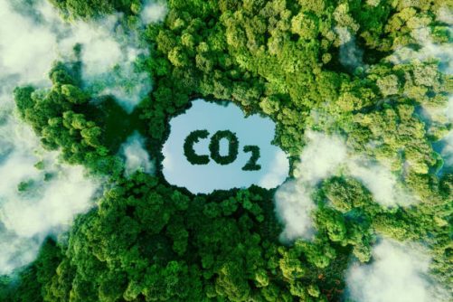 碳审计