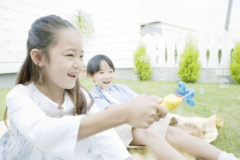 Japanese Toy Safety Standard ST and Food Sanitation Law FSL